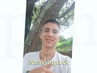 Nasttybigcock