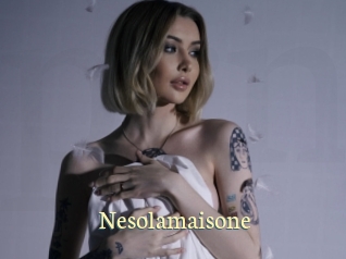 Nesolamaisone