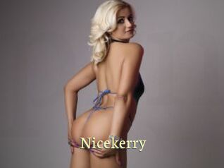 Nicekerry