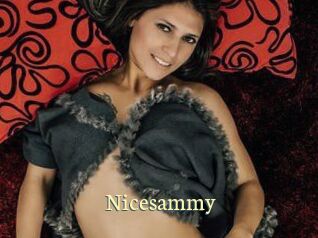 Nicesammy