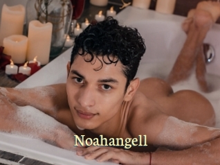 Noahangell