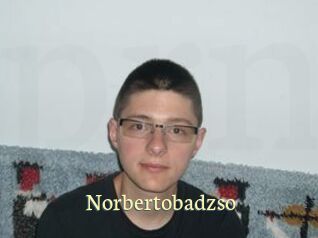 Norbertobadzso