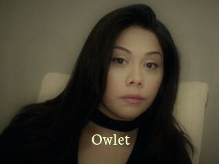 _Owlet_