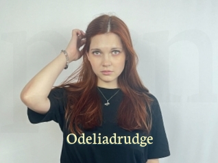 Odeliadrudge