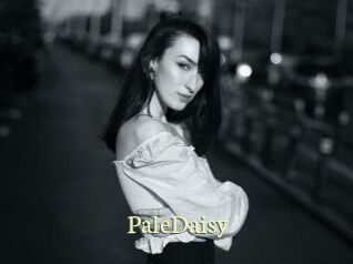 PaleDaisy