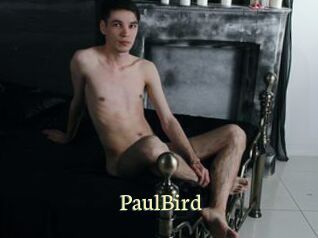 PaulBird