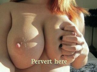 Pervert_here