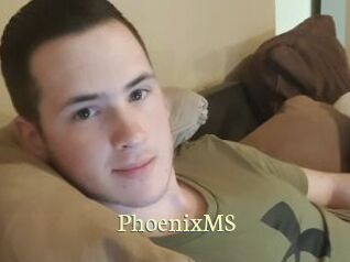 PhoenixMS