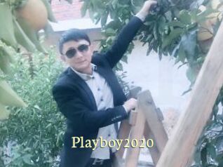 Playboy2020