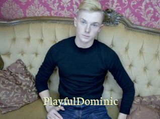 Playful_Dominic