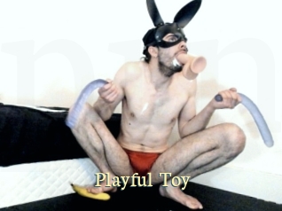 Playful_Toy