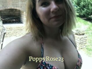 PoppyRose23