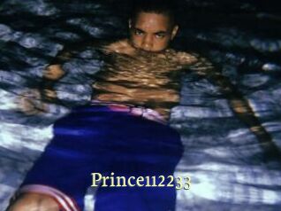 Prince112233