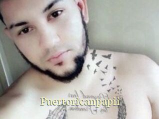 Puertoricanpapii