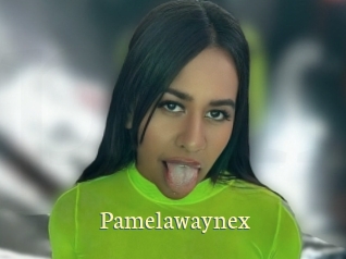 Pamelawaynex