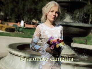 Passionate_camellia