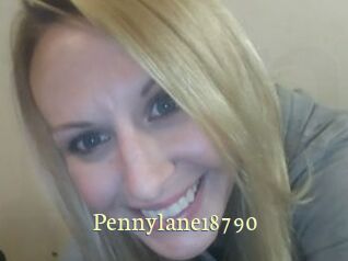 Pennylane18790