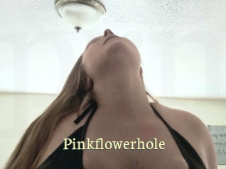 Pinkflowerhole