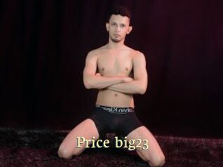 Price_big23