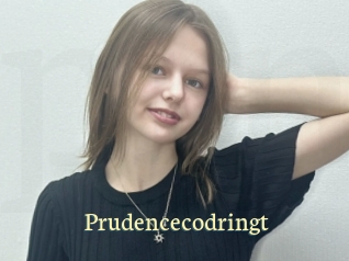 Prudencecodringt