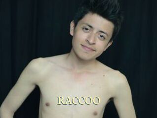 RACCOO