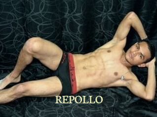 REPOLLO