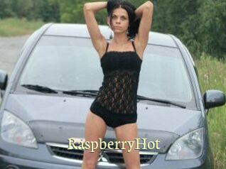 Raspberry_Hot