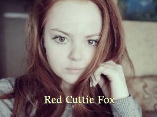 Red_Cuttie_Fox