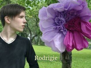 Rodrigie