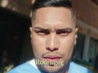 Rodriigog