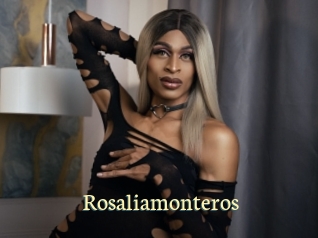 Rosaliamonteros