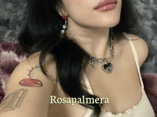 Rosapalmera