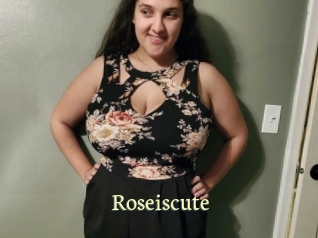 Roseiscute