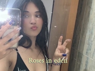 Roses_in_eden