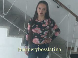 Rosmerybosslatina