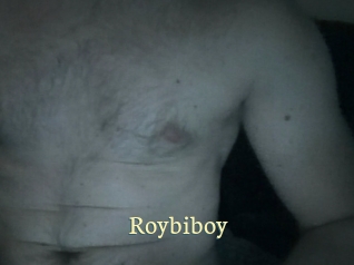 Roybiboy