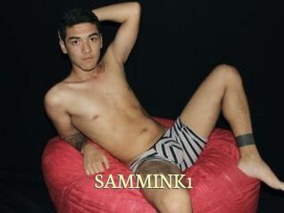 SAMMINK1