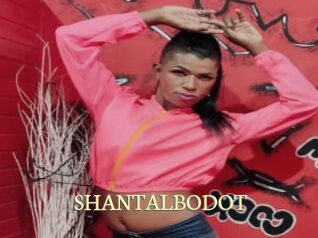 SHANTALBODOT