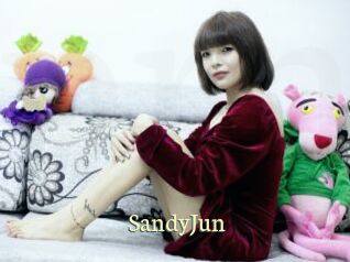 SandyJun