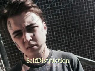 SelfDistruction