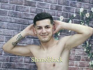 ShaneBlack