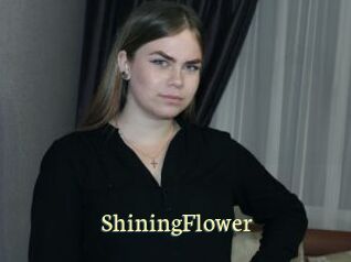 ShiningFlower