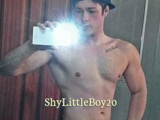 ShyLittleBoy20