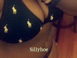 Sillyhoe