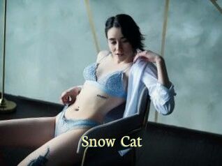 Snow_Cat