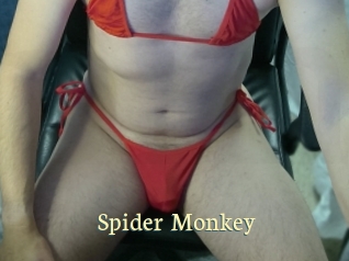 Spider_Monkey