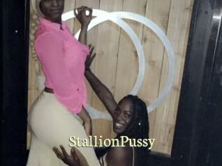 StallionPussy