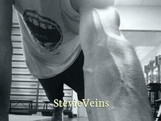 StevieVeins