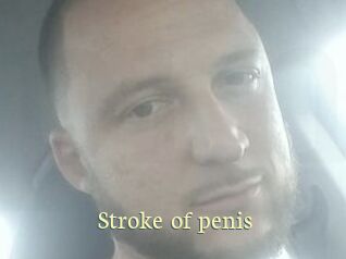 Stroke_of_penis