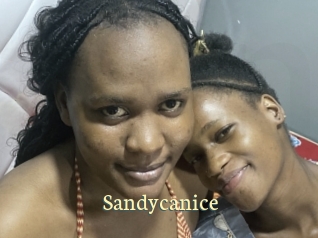 Sandycanice